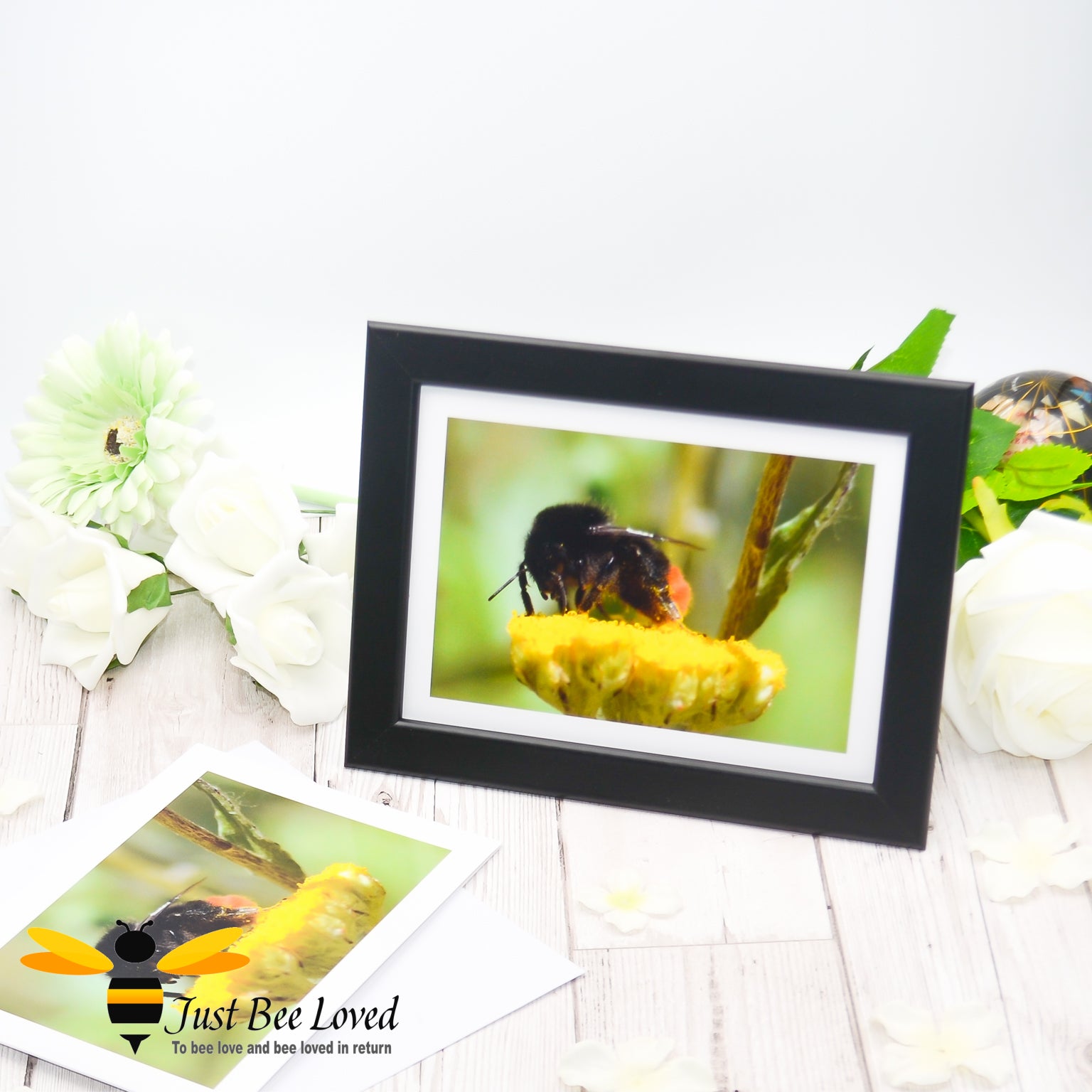 Framed greeting card featuring a close-up macro image of a pollen dusted Red-tailed bumblebee on a yellow flower.