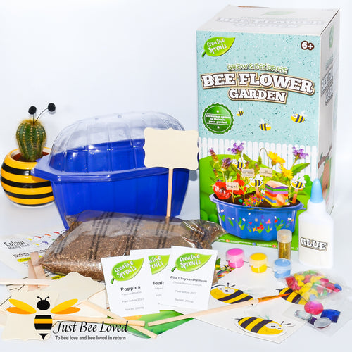 Children's grow your own and decorate bee flower garden kit