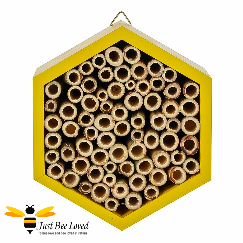 Hexagon shaped wooden bee house hotel in yellow colour