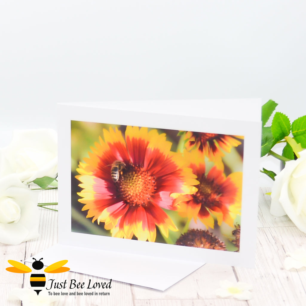 A photographic greeting card featuring an image of a honey bee collecting pollen from orange flowers.  Card is blank for a personal message.