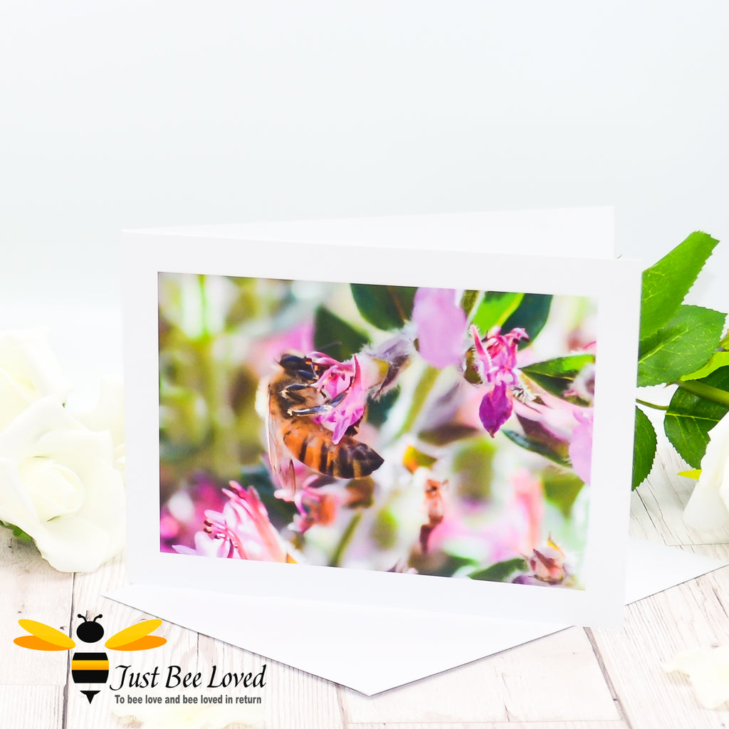A greeting card featuring an image of a honey bee foraging on wild pink flowers.