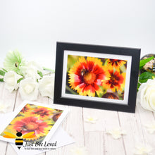 Load image into Gallery viewer, a framed photographic greeting card featuring an image of a honey bee collecting pollen from orange flowers.