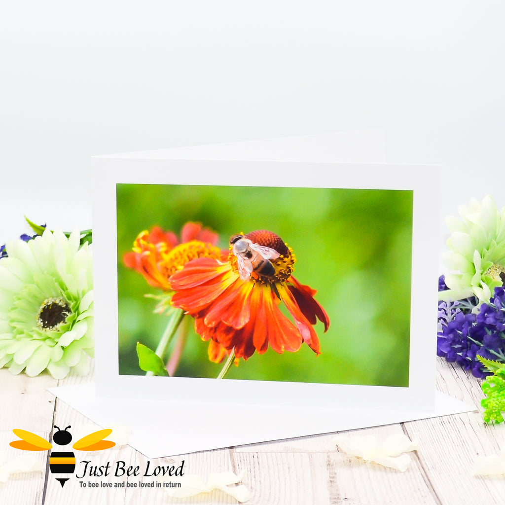 Photographic greeting card showing an image of a honey bee foraging on an orange helenium flower against a green background