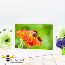 Load image into Gallery viewer, Photographic greeting card showing an image of a honey bee foraging on an orange helenium flower against a green background