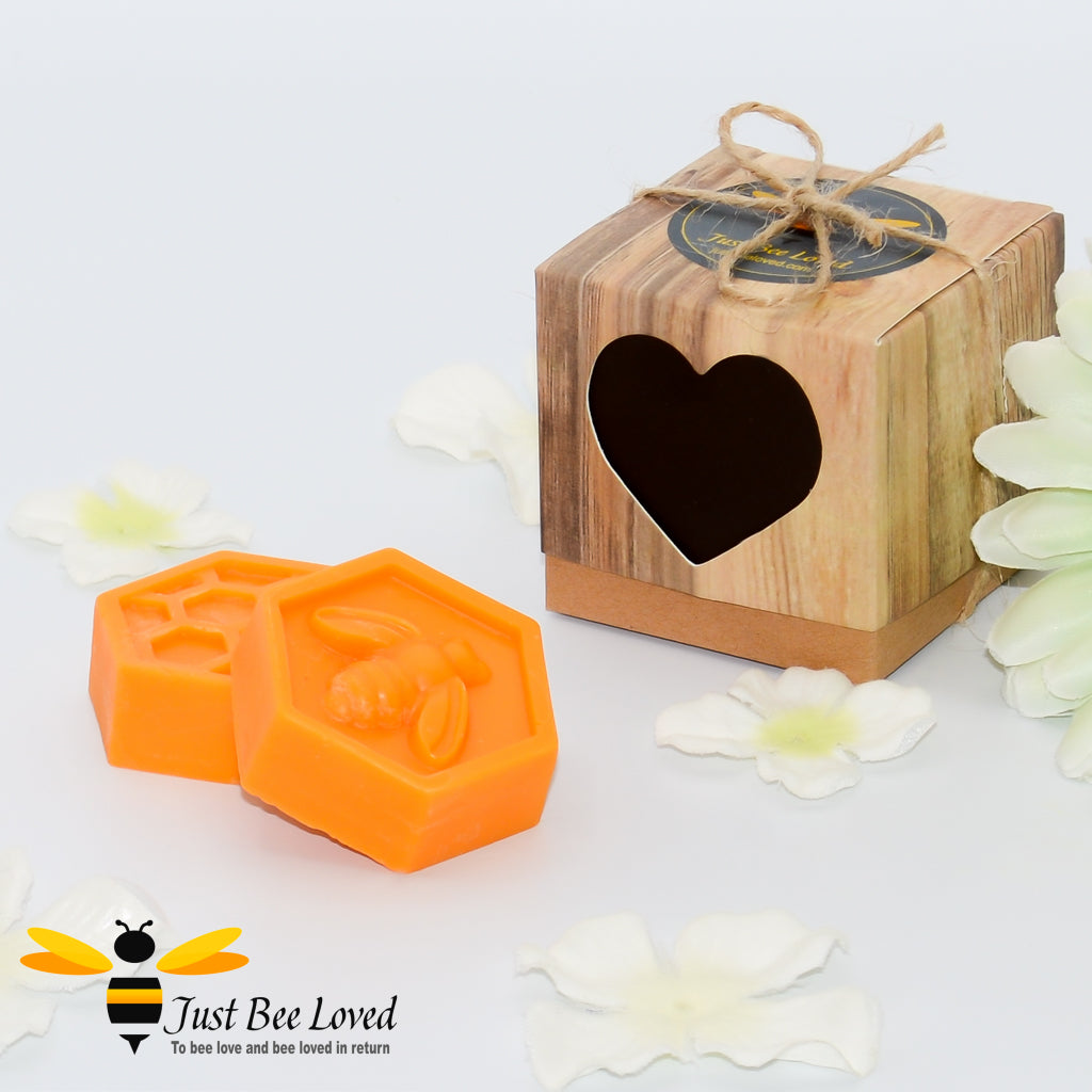 Just Bee Loved Luxury Wax Melts Italian Citrus Grove Mini Gift Box 2 Pack