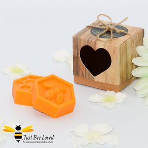 Just Bee Loved Luxury Wax Melts Italian Citrus Grove Mini Gift Box 2 Pack