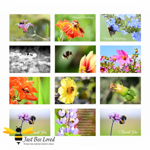 12 Bee Portraits of Honey Bees and Bumblebees Photographic Greeting Cards Value Pack images by Landscape & Nature Photographer Yasmin Flemming