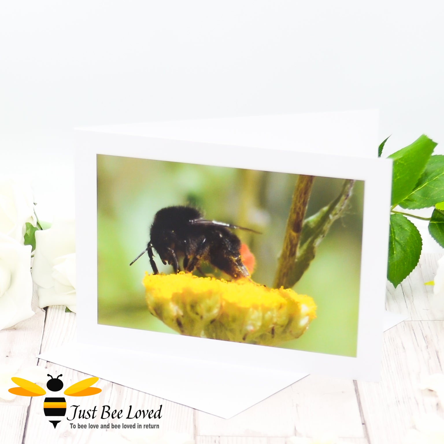 Greeting card featuring a close-up macro image of a pollen dusted Red-tailed bumblebee on a yellow flower.