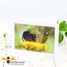 Load image into Gallery viewer, Greeting card featuring a close-up macro image of a pollen dusted Red-tailed bumblebee on a yellow flower.