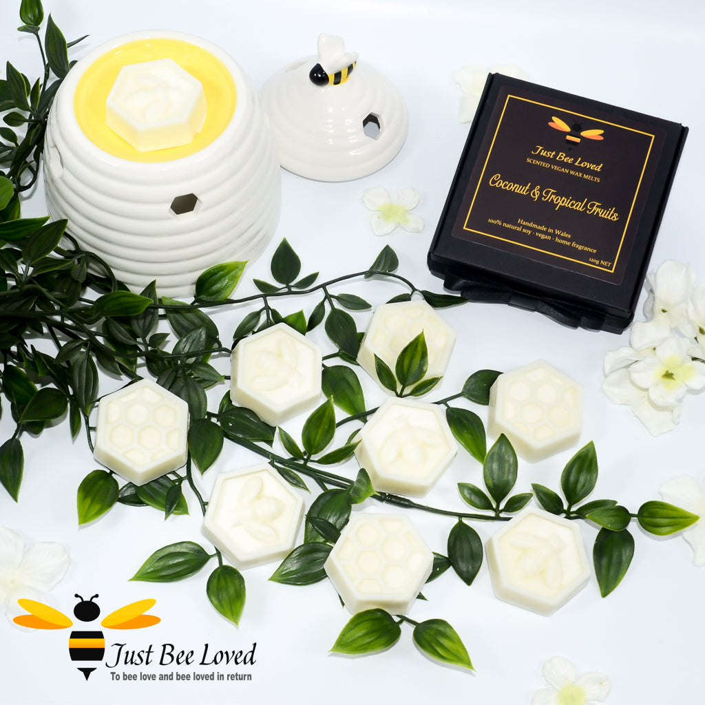 Luxury gift box of 8 scented vegan wax melts of coconut and tropical fruits fragrance