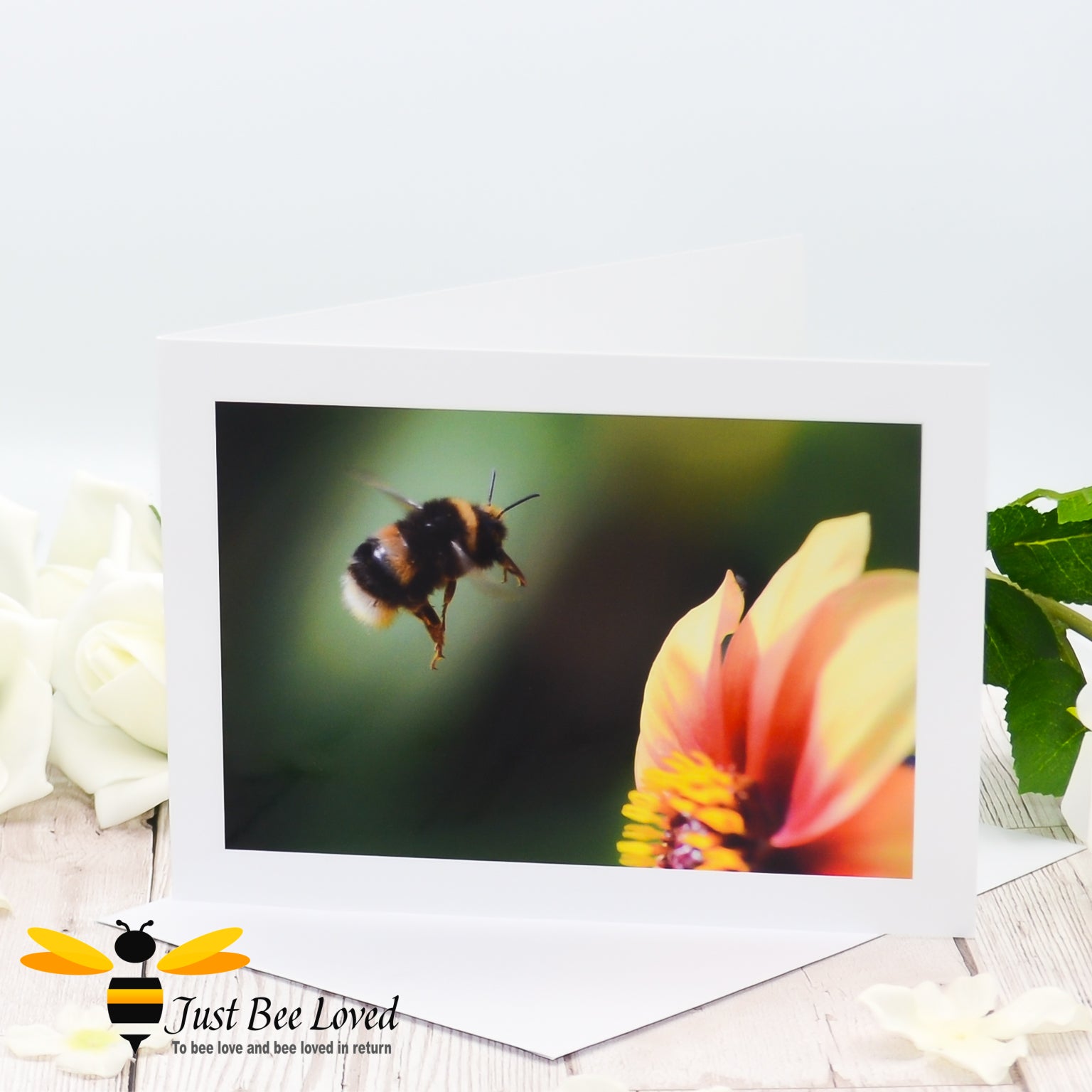 Photographic greeting card featuring an image of a white tailed bumblebee in mid flight to forage on a flower.