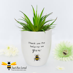 ivory ceramic plant pot featuring a bumblebee illustration and "thank you for helping me grow" text