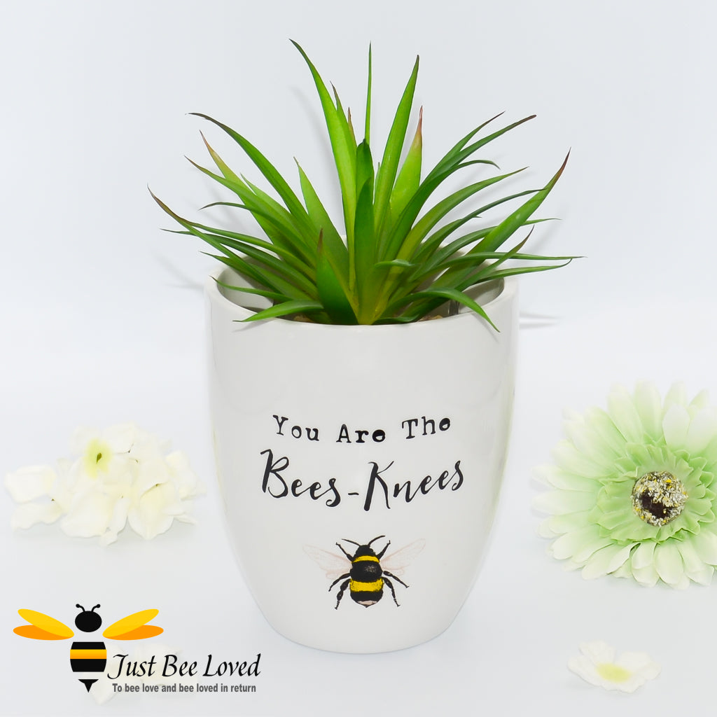 ceramic indoor plant pot, bumblebee illustration, "you are the bees knees" text.