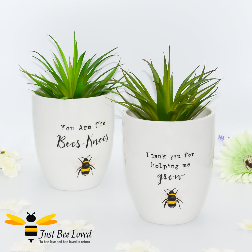 ceramic indoor plant pot, bumblebee illustration, "thank you for helping me grow" text.