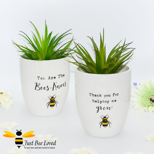ivory  ceramic indoor plant pots featuring a bumblebee illustration and thoughtful text