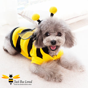 Bumblebee fleece coat fancy dress costume for dogs and puppies