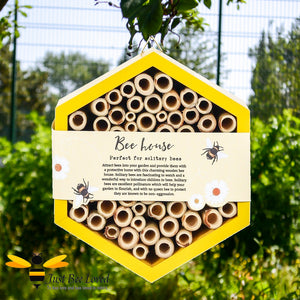 Hexagon wooden bee house for garden certified by the Forest Sustainability Council