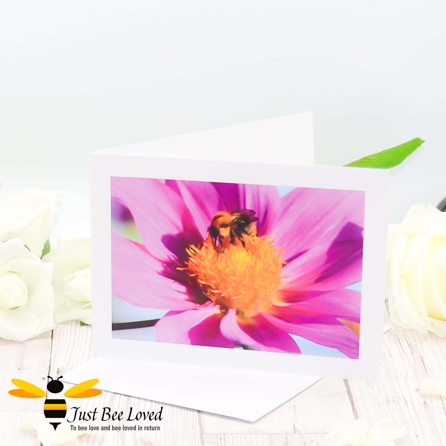 A greeting card featuring an original photographic image of a young Carder bee drinking nectar from a pink flower.