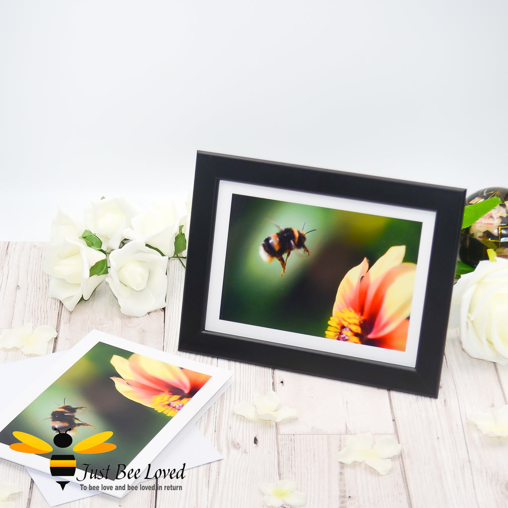 a framed photographic greeting card featuring an image of a white tailed bumblebee flying towards a flower.