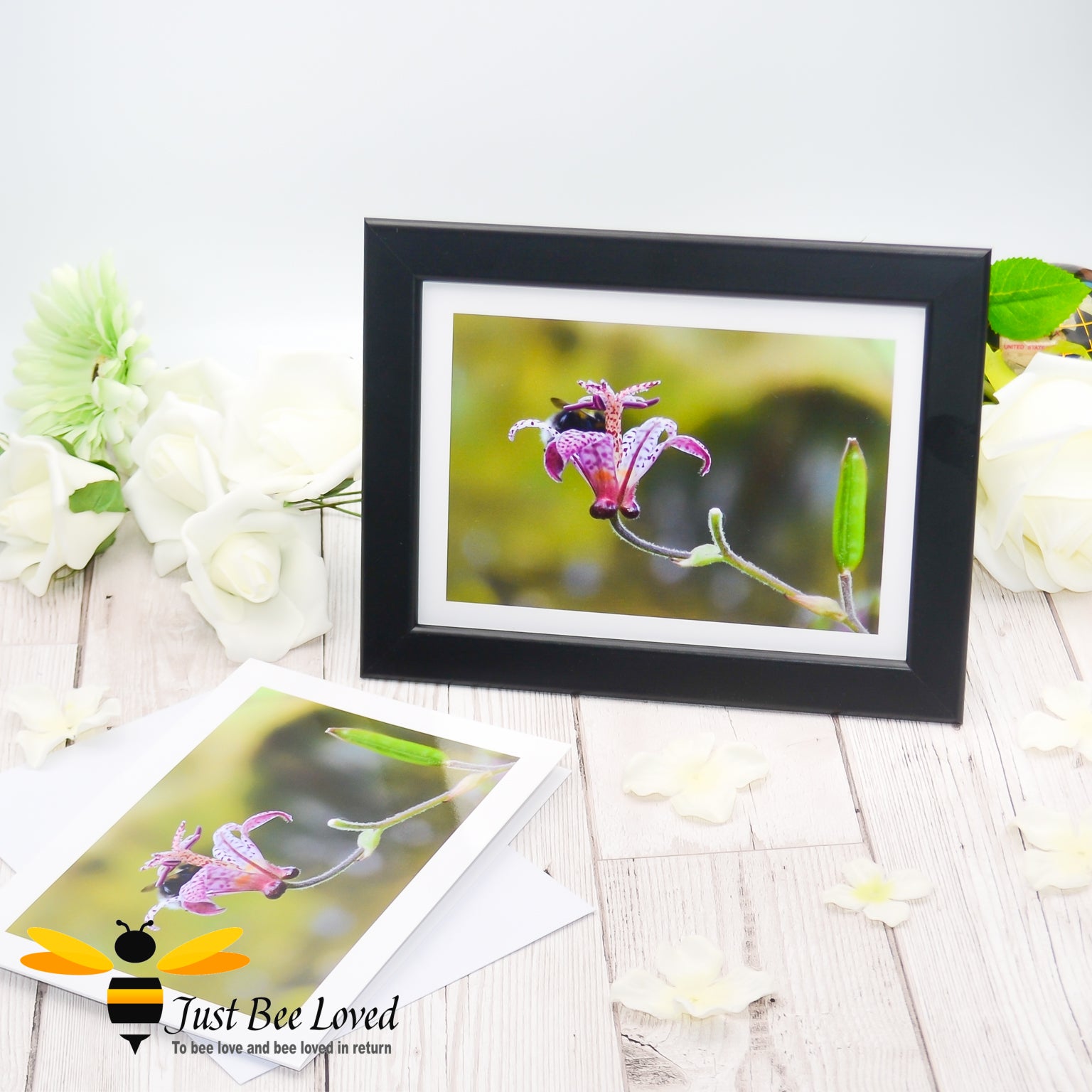 Framed photographic greeting card featuring an image of a bee deep inside a flower cup.