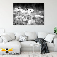 Load image into Gallery viewer, Just Bee Loved Home Decor Large Canvas of Daisy Dancing Bumblebees Black and white Wall Decor by Landscape &amp; Nature Photographer Yasmin Flemming