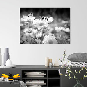 Just Bee Loved Home Decor Large Canvas of Daisy Dancing Bumblebees Black and white Wall Decor by Landscape & Nature Photographer Yasmin Flemming