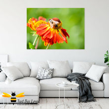 Load image into Gallery viewer, Just Bee Loved Home Decor Large Wall Art Canvas with Honeybee on Helenium flower print by landscape &amp; nature photographer Yasmin Flemming