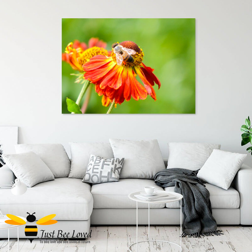 Just Bee Loved Home Decor Large Wall Art Canvas with Honeybee on Helenium flower print by landscape & nature photographer Yasmin Flemming