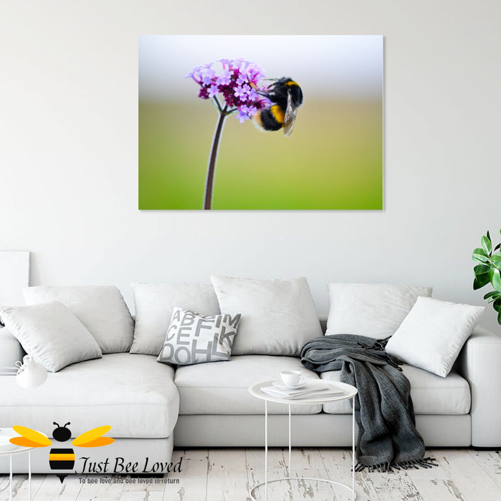 Just Bee Loved Home Decor Large Canvas of White tailed Bumblebee on purpletop verbena flower Wall Decor by Landscape & Nature Photographer Yasmin Flemming