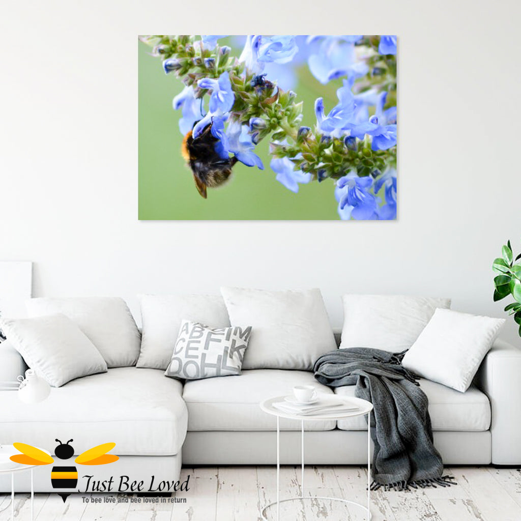 Just Bee Loved Bumblebee and Blue Saliva Graphic Canvas Art Wall Decor by Landscape & Nature Photographer Yasmin Flemming