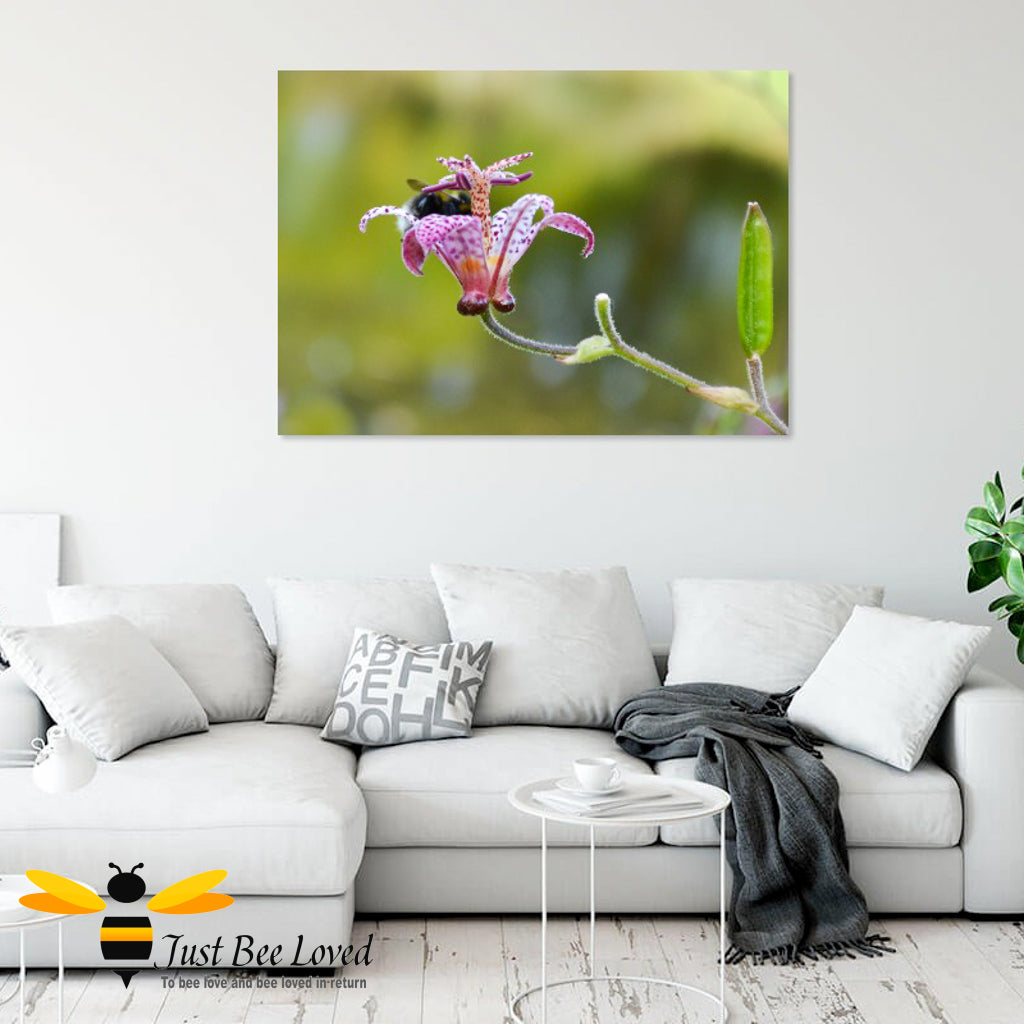 Just Bee Loved Bumblebee inside Flower Cup Graphic Wall art Canvas decor by Landscape & Nature Photographer Yasmin Flemming