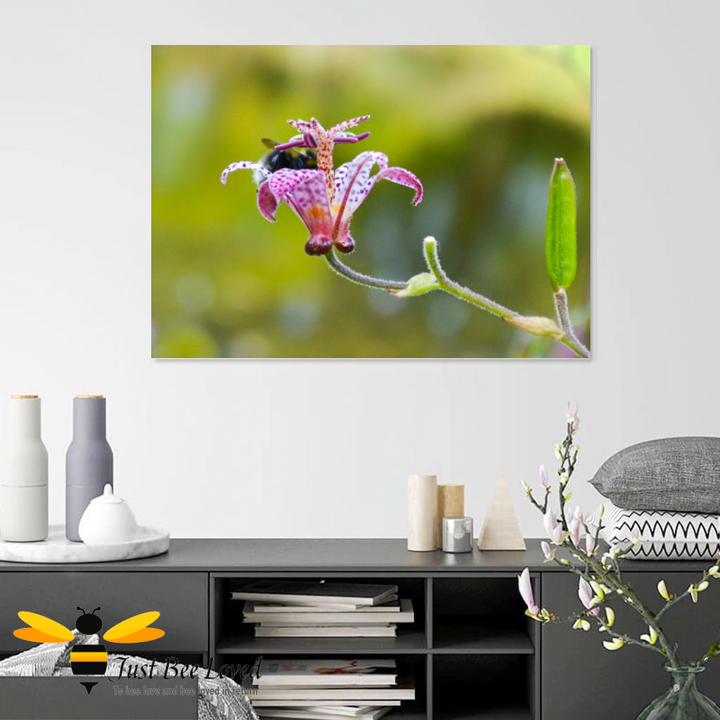Just Bee Loved Bumblebee inside Flower Cup Graphic Wall art Canvas decor by Landscape & Nature Photographer Yasmin Flemming