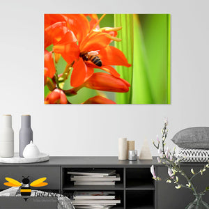 Just Bee Loved Honeybee and Orange Lily Graphic Wall Art Canvas Decor by Landscape & Nature Photographer Yasmin Flemming